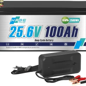 100Ah Lithium Marine Battery 24 volt with Low Temperature Protection, built-in 100A BMS, Up to 15000 Deep Cycles, Perfect for Trolling Motor, RV, Camping, Boats