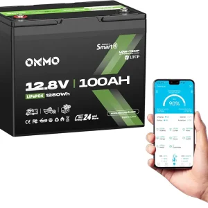 12.8V 100Ah LiFePO4 Battery Rechargeable Lithium Battery Group 24 with Bluetooth 100A BMS, 4000-15000 Deep Cycles, Grade A Lithium Iron Phosphate Cells, for Trolling Motor, Boat, Rv, Solar