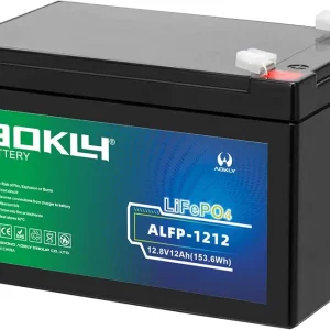 12V 12Ah LiFePO4 Battery Deep Cycle Replacement Rechargeable Lithium Ion Batteries, for Kids Ride on Toys,Camping