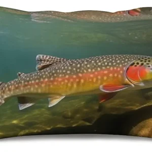 12x20 Throw Pillow Covers,Brook Trout Fly Fishing Print Rectangle Soft Fuzzy Lumbar Pillow Cover,Decorative Cute Funny Zipper Sofa Pillows Covers for Bed Couch Living Room Home Decor