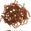 1.6in/3.3/3.9in Fishing Soft Lure Trout Worm Earthworm Bait Lifelike Fake Bloodworm Grub Worm Soft Fishing Lure Baits