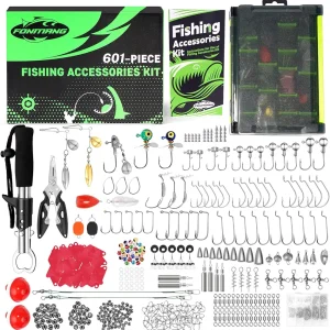 411/601-Piece Fishing Gear Accessories Kit, [2025 New] Fishing Tackle Box with Pliers, Fish Lip Grips, Hooks, Weights, Jig Heads, Swivels, 21 Pre-Made Rigs � Fishing Gear for Lures Fishing