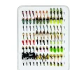 96pcs Fly Fishing Flies Assortment Kit Dry Wet Flies Nymphs with Fly Box
