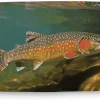 Bath Mat Brook Trout Fly Fishing Bath Rug Super Absorbent Bathroom Rug Non-Slip Tub Mat Washable Quick Dry Shower Mat for Bathroom Floor Tub and Shower 23.6x15.7 Inches