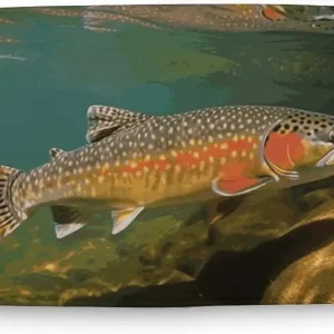 Bath Mat Brook Trout Fly Fishing Bath Rug Super Absorbent Bathroom Rug Non-Slip Tub Mat Washable Quick Dry Shower Mat for Bathroom Floor Tub and Shower 23.6x15.7 Inches