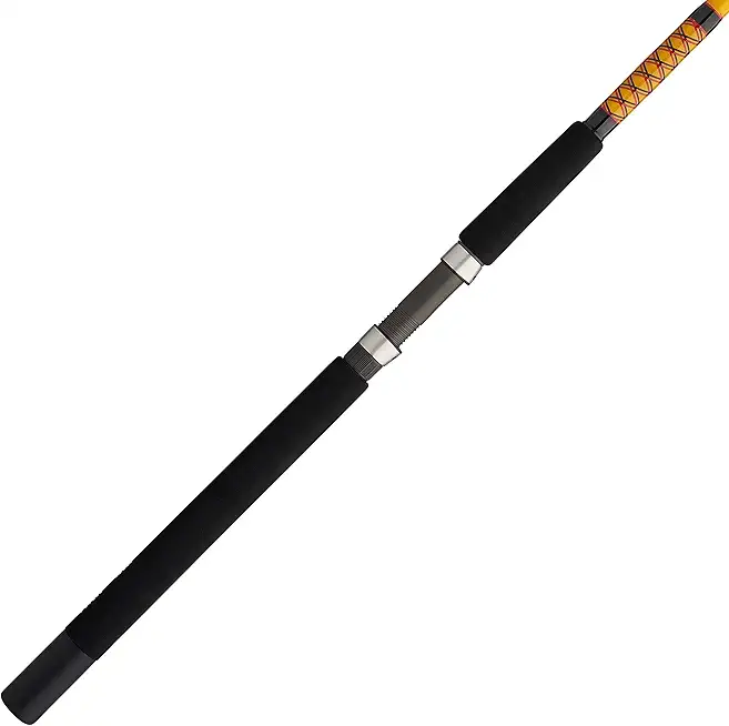 Bigwater Spinning Fishing Rod