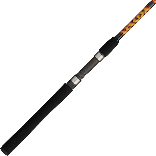 Bigwater Spinning Fishing Rod