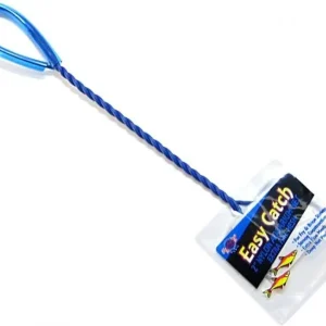 Blue RibbonBlue Ribbon