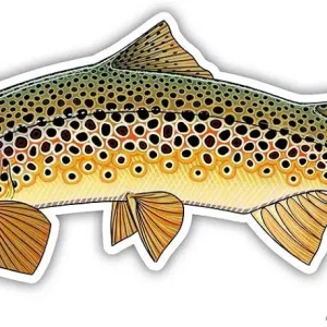 Casey Underwood Brown Trout Decal Sticker