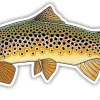 Casey Underwood Brown Trout Decal Sticker