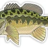 Casey Underwood Largemouth Bass Decal Sticker