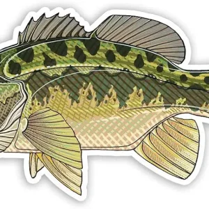 Casey Underwood Largemouth Bass Decal Sticker