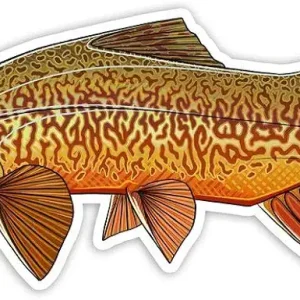 Casey Underwood Tiger Trout Decal Sticker