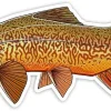 Casey Underwood Tiger Trout Decal Sticker