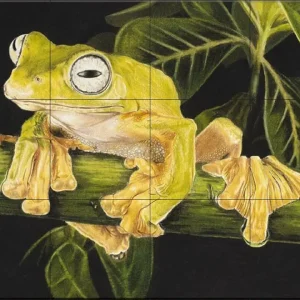 Ceramic Tile Mural - Musky Flying Frog- by Barbara Keith