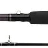 Daiwa Medium Action Accudepth Trolling Rod (2 Piece)