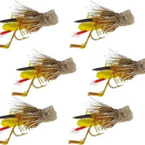 Dave's Hopper Fly Fishing Set, Size #10 � Topwater Terrestrial Dry Flies for Bass, Panfish, Trout