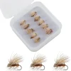 Elk Hair Caddis Fly Kit, 10-Pack Caddisflies Dry Trout Flies Fly Fishing Lures Assortment with Storage Box, Size 16/18 Caddis Flies for Trout Fishing