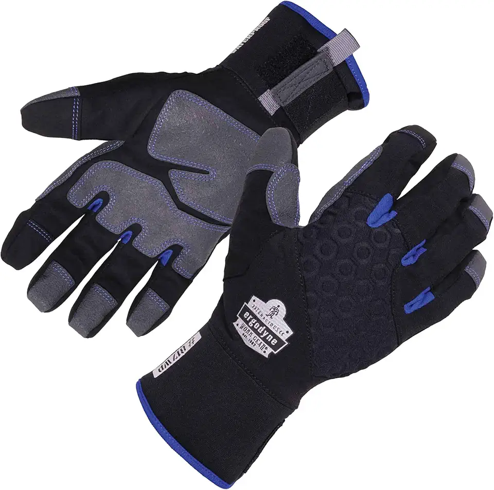 Ergodyne unisex adult Reinforced Thermal Waterproof Winter Work Gloves, Black, Large Pack of 1 US