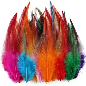 Feathers for Crafting,240pcs 5-7inch Colorful Craft Rooster Feathers,Saddle Hackle Feather,Bulk Feathers for Wedding Home Party,Dream Catcher Supplies and DIY Crafts