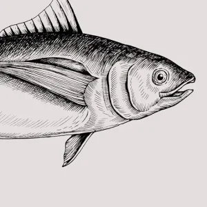 Fishing Logbook: Complete Fisherman's Journal / 6x9 Log with 120 Pages / Records Details of the Fishing Trip ( Catch, Date, Schedule, Location, Temperature, Moon, Rods, Bait, etc. )