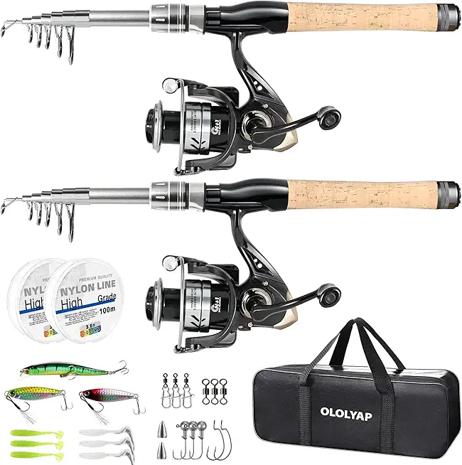 Fishing Pole Combo 2PCS Carbon Fiber Fishing Rod and Aluminum Reel Combos Lures Set Fishing Line Carrier Bag Sea Saltwater Freshwater Fishing Rod Reel Kit
