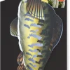 Fly & Fetch Dog Toy - Durable, Floating, Interactive Bungee Launcher for Fetch and Water Play, Plush Fish