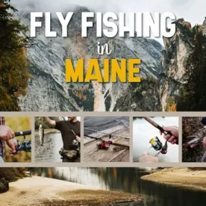 Fly Fishing in Maine: Fly Fishing Log Book for Local Backyard Anglers and Fly Fishing Enthusiasts | Over 100 Pages to Log Fishing Trips and Experiences | Essential Journal for the Tackle Box