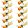 Fly Fishing Popper Flies Kit Colorful Fly Fishing Flies Popper Lures Foam Float Topwater Popping Bugs Lures Accessories for Trout Panfish Bluegill Bass Sunfish Salmon