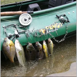 Fly Rod Tactics for Warm Water Species