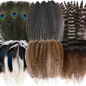 Holmgren 48pcs Natural Feathers Bulk - 6 Styles Assorted Peacock, Pheasant, Turkey Feathers for Craft DIY Jewelry Hat Wedding Home Party Decoration