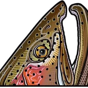 How To Fly Fish The Upper Sacramento River California: Featuring The Ted Fay Fly Shop