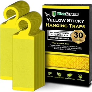MaxGuard (30 Pack) Yellow Sticky Hanging Traps - Catch and Kill Fungus Gnats, Whiteflies, Mosquitos, Aphids, Leaf Miners, Flying Insect Catcher Glue Trappers for Indoor or Outdoor