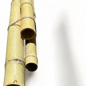 Pack of 3 Bamboo Sticks - 6 Feet Long Natural Thick Bamboo Poles - 1.5 in Diameter - Garden Stakes (Beige)