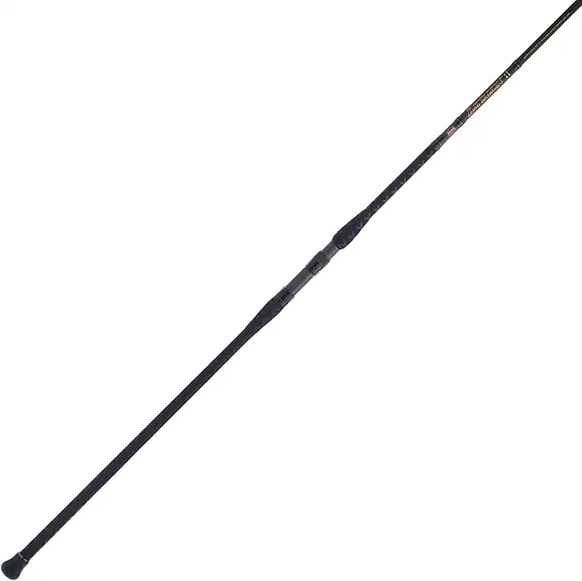 PENN Squadron III Surf Conventional Fishing Rod