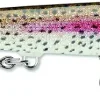Rapala Rapala Original Floater 11 Live Lure F
