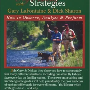 Successful Fly Fishing Strategies