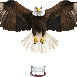 TOY Life Large Eagle Kite for Kids & Adults � Easy to Fly, Durable Ripstop Fabric with 300ft String, 50� Wingspan with Long Tail � Outdoor Toy for Beach, Park, & Backyard Fun