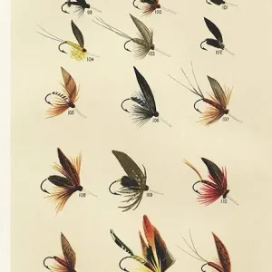 Trout Flies Fishing Journal, Made by C.F. Orvis Manchester VT: Fishing Diary for Serious Fishermen or Weekend Warriors Hobbies Log Weather, Rod, Bait, ... Brother, Grandpa, Mom, Sister, Grandma, Aunt