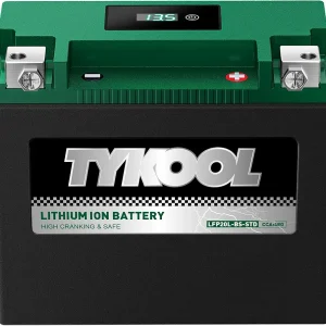 YTX20L-BS-STD Lithium LiFePO4 Motorcycle Battery 12v, 480CCA, 2X Cranking Amps,Digital Readout,Powersports Battery,for ATV,UTV,Jet Ski,PWC,Snowmobile,Quad,Riding Lawn Mowers and tractors